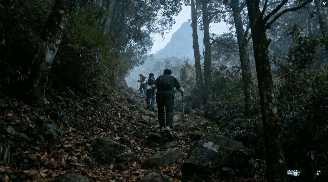 轻蜂加速器苹果破解版常见问题解答